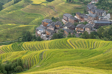 Fototapeta premium Dragon terraced fields in Guilin Guangxi China