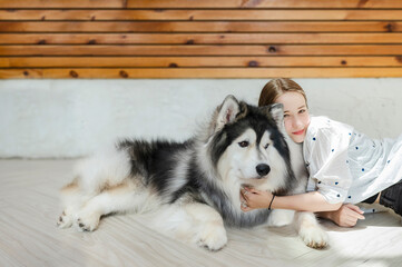 Cute dogs are lying on the ground while a girl touches him.