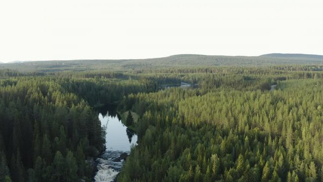 4k Drone shot of a river going through a beautiful forest in Sweden.