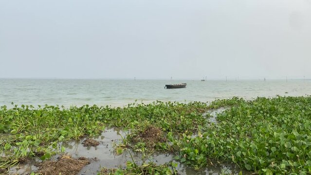 POV of a man observing an abandoned, old wooden boat that is stuck in the water from a shoreline that is covered in aquatic vegetation.