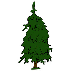 Tannenbaum