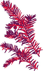 Pink English Yew Tree Illustration