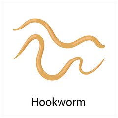 parasites worms in domestic animals hookworm