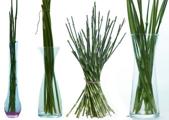 Branches of flowers. There are only branches. Many branches are used for decoration.