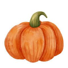 Pumpkin. Watercolor isolated illustration.