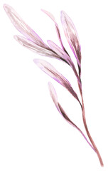 Tropical Exotic Colorful Flower Leaf Boho Floral Pastel Watercolor Dreamy Ethereal Jungle