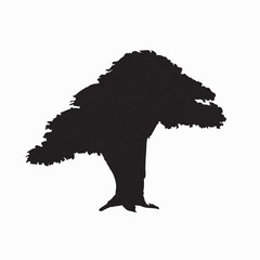 silhouette tree
