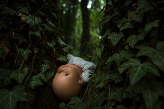 Close Up Dark Scene Of Scary Child Doll In Deep Woods Growth By Ivy Everywhere Just Before Night. Restless Low Light Scene Creating Spooky Feeling Suitable For Halloween Holiday Or Some Cemetery Story