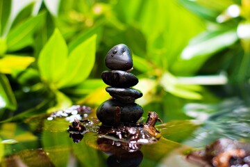 Zen stones on floating logs in water green leaf background nature spa concept