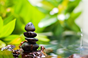 Zen stones on floating logs in water green leaf background nature spa concept