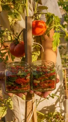 Fotobehang a woman preserves sun-dried tomatoes in sterile jars with chopped garlic and fresh basil in the garden at sunset. hands close-up, rich harvest, organic natural products, preparations for the winter © Маргарита Трушина
