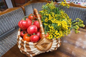 Basket with greenhouse tomatoes and tansy flowers on the table.