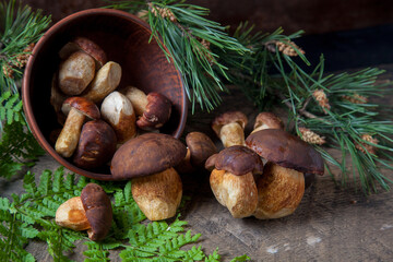 Imleria Badia or Boletus badius mushrooms commonly known as the bay bolete and clay bowl with mushrooms on vintage wooden background.