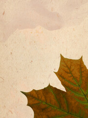 Naklejka na ściany i meble Beige paper texture with autumn leaves motif. Place for text. 