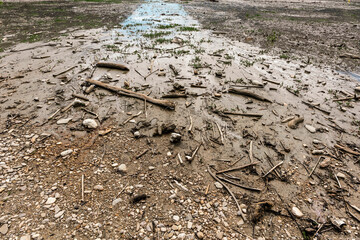 Dry beach with mud and stones