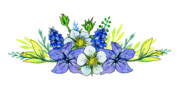 composition of watercolor flowers and leaves of periwinkle, muscari, wild strawberry on a white background.