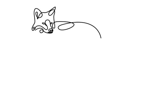 Line art wolf, Continuous line animation video, On a white background