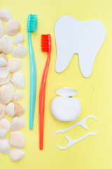 Tooth model, toothbrush and seashells. Yellow background. Flat lay. Top view. Benefits of minerals for dental hygiene. Oral care. Strength of teeth and gums. Vertical. Gum health.