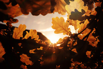 Beautiful Nature Autumn landscape. Scenery view on autumn city park with golden yellow foliage in Sunny day. Walking path in the city Park strewn with autumn fallen leaves.