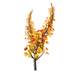 Fototapeta premium Flower Branch 3D Icon