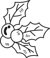 Hand Drawn christmas berries illustration