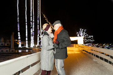 Fototapeta na wymiar Elderly couple holding hands in winter wonderland