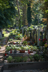 Fototapeta na wymiar Nuovo cimitero ebraico