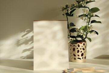 natural lights and shadows on white paper page with modern plant on the backgrpund