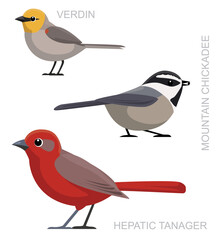 Cute Bird Verdin Tanager Chickadee Set Cartoon Vector