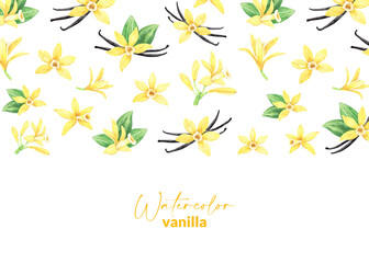 Watercolor yellow vanilla flowers, dried sticks and green leaves. Upper border design. Illustration of blooming orchid. Hand drawn perfume ingredient for recipe, label, packaging.