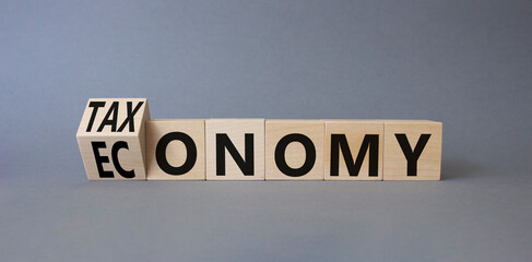 Taxonomy and economy symbol. Turned cubes with words Economy and Taxonomy. Beautiful grey background. Business and Taxonomy and economy concept. Copy space