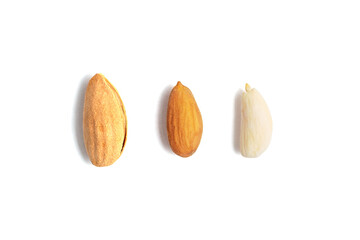 Peeled and unpeeled wild almond isolated on white background. Whole almonds in shell, in skin and blanched.