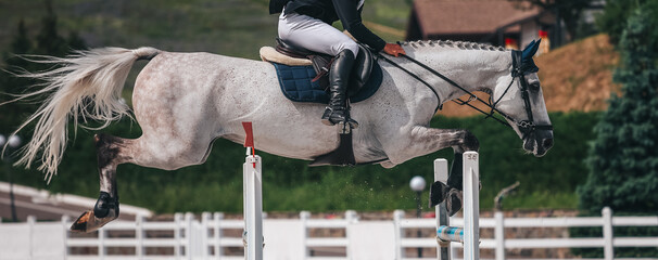 A rider on a white horse jumps over the obstacle in a show jumping competition. Equestrian Sport....