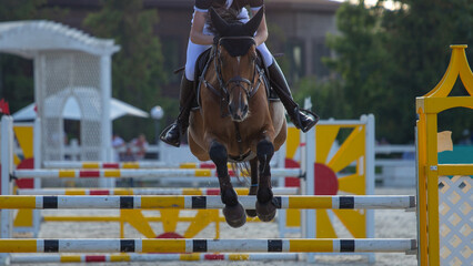 A rider on a horse jumps over an obstacle system in a show jumping competition. Young rider and bay...