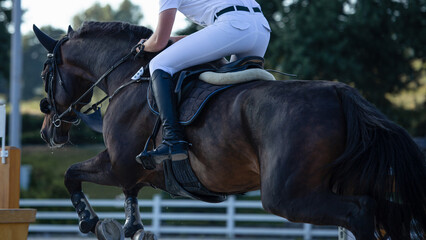 Obraz premium A sportsman in a white uniform on a bay horse participates in show jumping competitions. Focus on the rider's leg. The horse jumps over an obstacle in the arena.