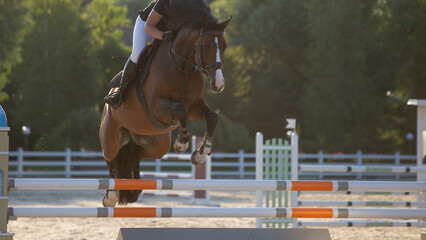 A rider on a bay horse jumps over a high obstacle in a show jumping competition. Equestrian sport.