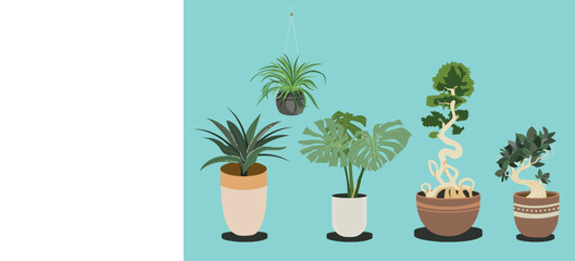 Hand-drawn houseplant collection COLORFULL FLAT DESIGN VECTOR ILLUSTRATION