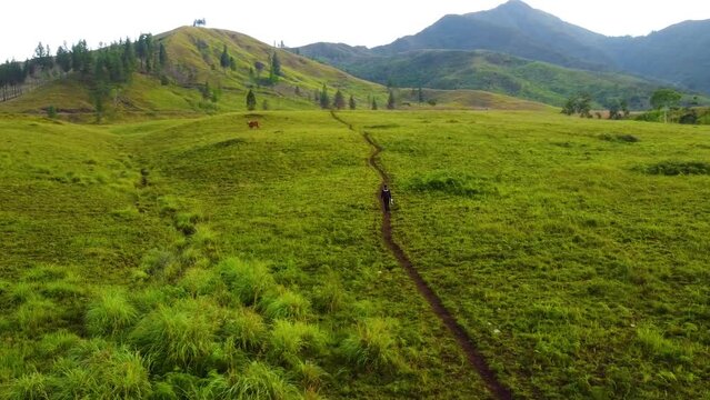A person walking towards the mountain