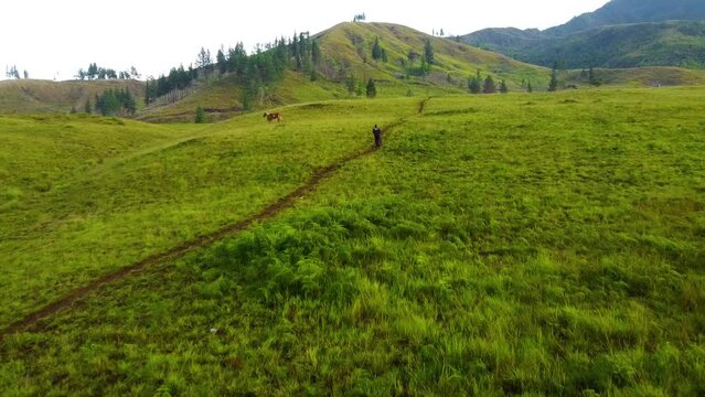 A person running towards the mountain