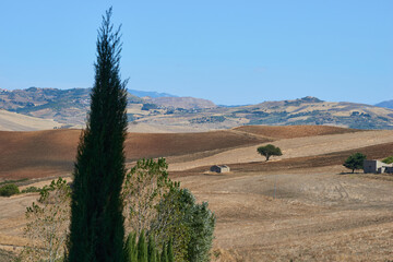 Obraz premium rural landscape with farmhouse in central sicily in midsummer with gold-colored fields
