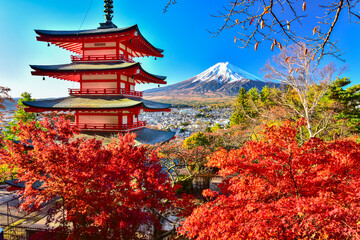 富士山と紅葉

