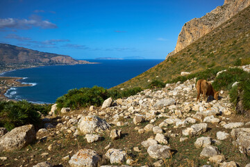 cornino bay seen from above with the valderice and mount erice near to Trapani in the early morning