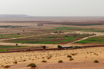 Fototapeta na wymiar Agriculture in the middle of the arid desert of Saudi Arabia