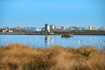 Naklejka premium the salt pans of Trapani with pink flamingos and the city in the background