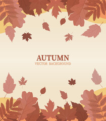 autumn leaves or leaf and flower foliage Vector illustration background