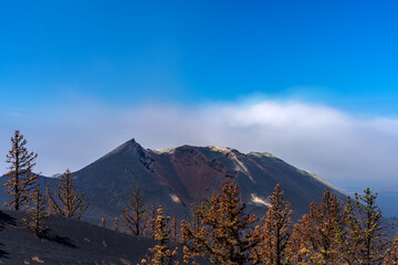 Fototapeta na wymiar Cumbre vieja volcano crater closeup with dead trees long exposure