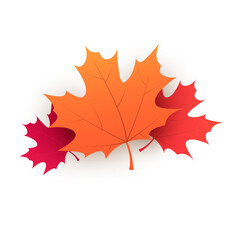 Red, Brown and Golden Autumn Fallen Maple Tree Leaves on Transparent Background - Design Template