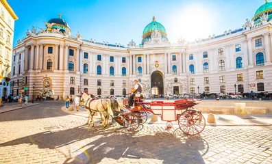 Wall murals Vienna Hofburg Palace and horse carriage on sunny Vienna street, Austria