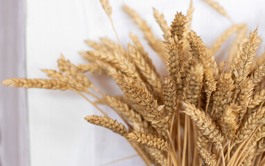 Bouquet of ripe ears of rye and wheat. Harvesting grain campaign. Autumn tradition in agriculture.