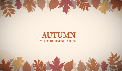 autumn leaves or leaf and flower foliage Vector illustration background